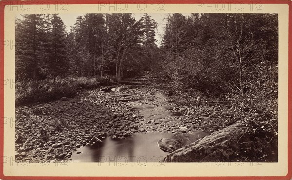 Long Lake, South From Floating Bridge, Printed 1880 circa. Creator: Seneca Ray Stoddard.