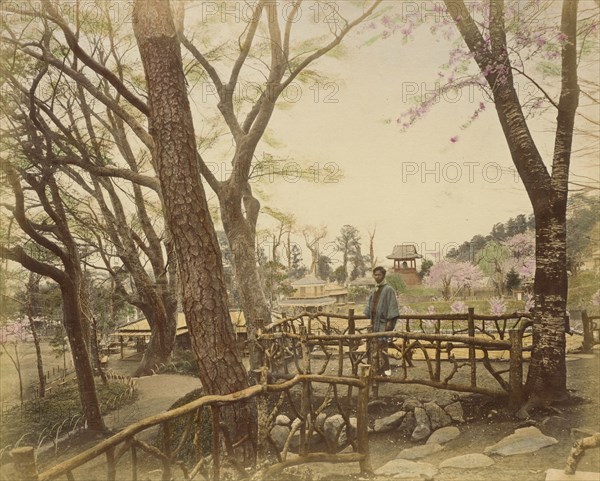 Public Garden, 1865. Creator: Unknown.