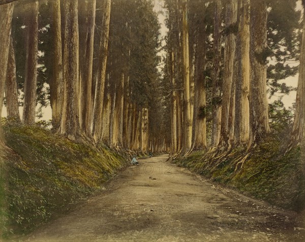 View of Imaichi, 1865. Creator: Unknown.