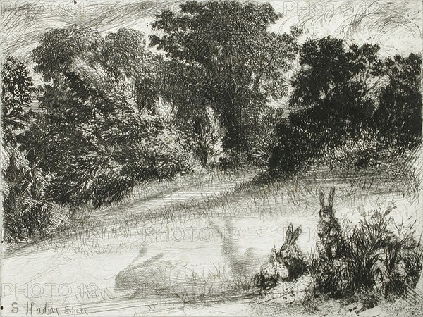 Combe Bottom, 1860. Creator: Francis Seymour Haden.