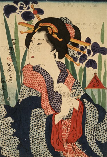 Beauty with Irises, 19th century. Creator: Tsukioka Yoshitoshi.