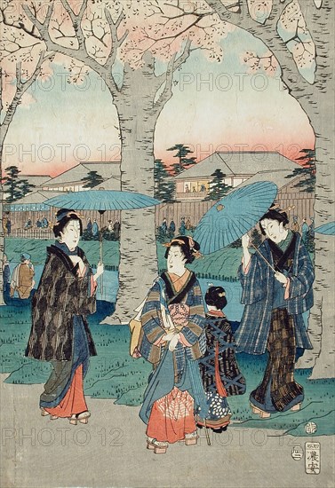 Flowers Beside the Tamagawa-Zutsumi (image 2 of 3), c1856. Creator: Ando Hiroshige.