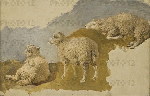 Three Sheep. Study, mid-19th century. Creator: Kilian Christoffer Zoll.