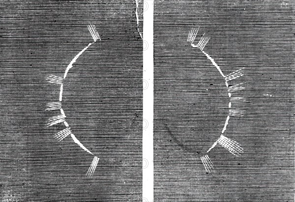 The Eclipse of the Sun on July 18 in Spain - beginning of the corona - from a sketch by..., 1860. Creator: Unknown.