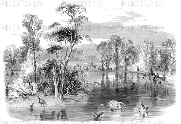 The new lake, Kew Gardens, 1860. Creator: Unknown.