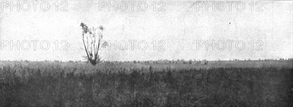 'Notre Attaque du 12 septembre 1916 ; Le saule est depasse ; nos fantassins, detaches en silhouettes Creator: Unknown.