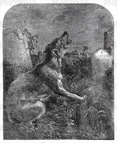 The Poor Man's Grave, 1860. Creator: Dalziel Brothers.