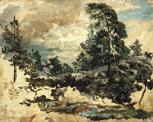 Study of Terrain, mid-19th century. Creator: Kilian Christoffer Zoll.