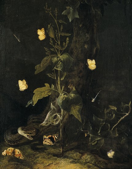 Serpent and Butterflies in the Woods, mid-17th century. Creator: Otto Marseus van Schrieck.