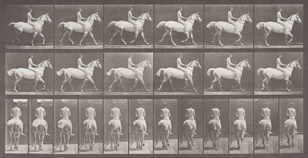 Smith Trotting Bareback, Printed 1887. Creator: Eadweard J Muybridge.