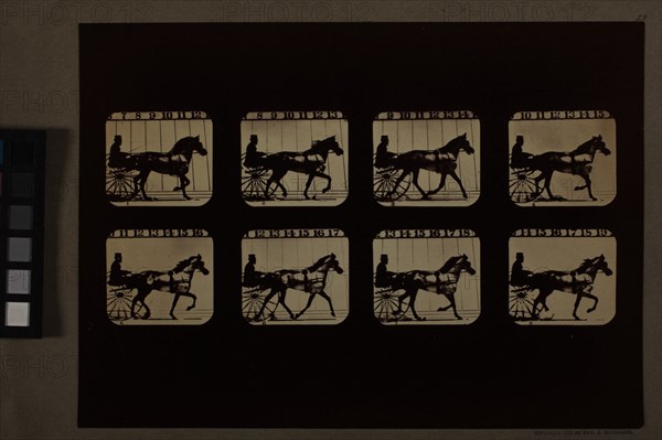 Animal Locomotion (Man In Horse-Drawn Cart), Printed 1881. Creator: Eadweard J Muybridge.