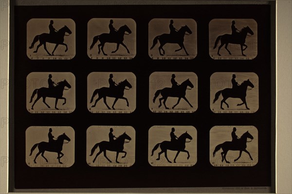 Animal Locomotion (Man W/ Derby On Horse), Printed 1881. Creator: Eadweard J Muybridge.