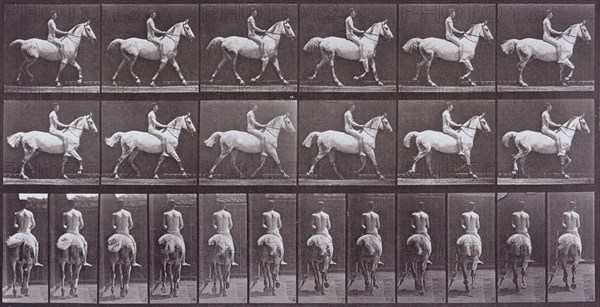 Animal Locomotion, Printed 1887. Creator: Eadweard J Muybridge.