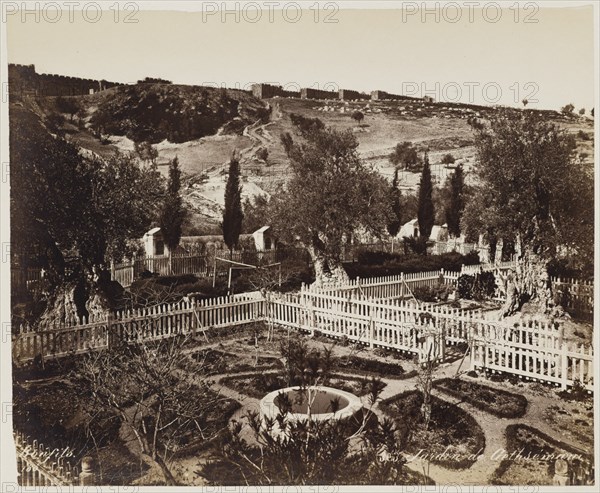 Jardin De Gethseman #303, Printed c.1870. Creator: Felix Bonfils.