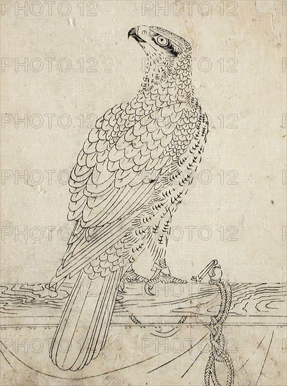 Hawk Tethered to a Perch, 1762. Creator: Unknown.