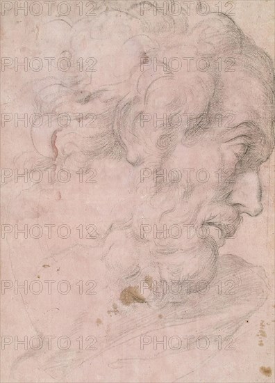 Head of A Bearded Man, between 1596 and 1641. Creator: Giovanni Angelo Canini.