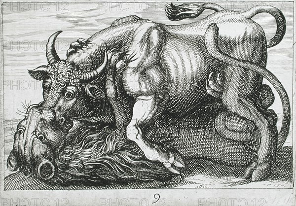 A Bull Fighting a Lion, 1610. Creator: Hendrick Hondius I.