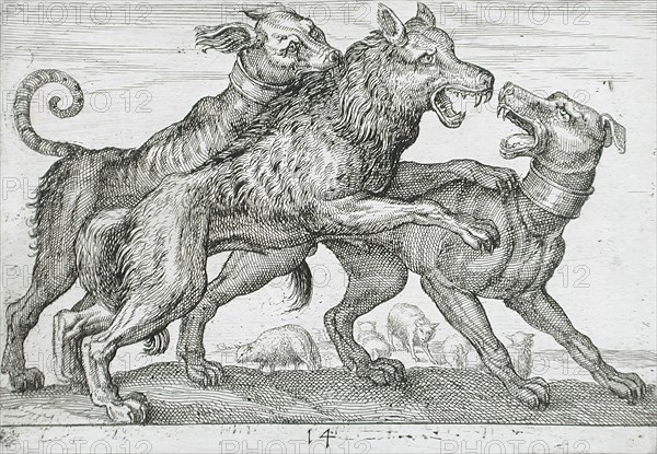 Three Dogs Fighting, 1610. Creator: Hendrick Hondius I.