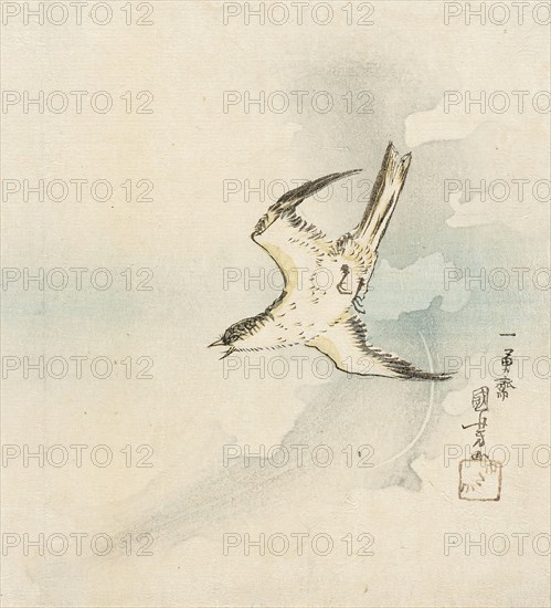 Hototogisu, Mid-19th century. Creator: Utagawa Kuniyoshi.