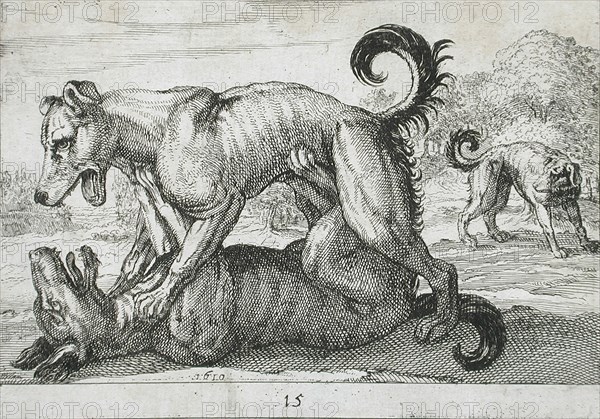 Two Dogs Fighting, 1610. Creator: Hendrick Hondius I.