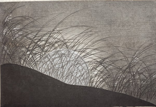 A Thousand Grasses (Chigusa) (image 19 of 33), 1900. Creator: Kamisaka Sekka.