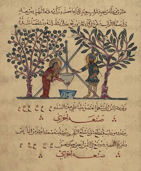 Single Leaf from the Arabic Version of Dioscorides' De materia medica, Rajab 621 AH/AD 1224. Creator: Unknown.