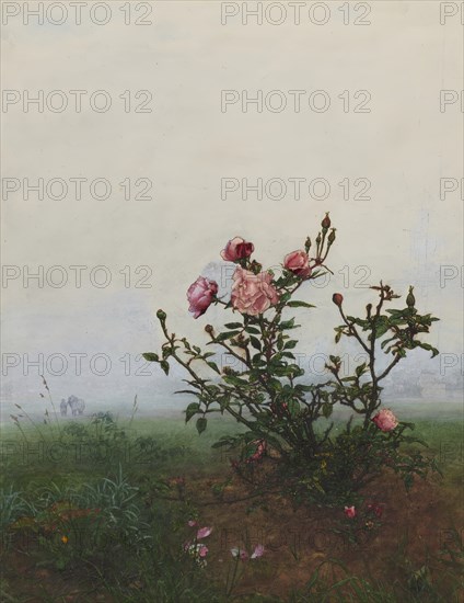 Rose Bush in front of a Landscape, 1863. Creator: Leon Bonvin.