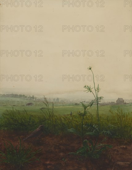 Blackbird and Scabious in front of a Landscape, 1864. Creator: Leon Bonvin.