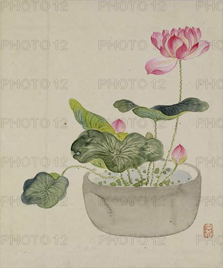 Leaf from Album Depicting Birds, Flowers, Landscapes, and Flower Pots, 1876. Creator: Yoshizawa Setsuan.