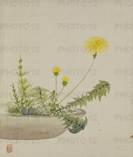 Leaf from Album Depicting Birds, Flowers, Landscapes, and Flower Pots, 1876. Creator: Yoshizawa Setsuan.