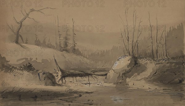 Stream with a Fallen Tree, mid 19th century. Creator: Alfred Jacob Miller.