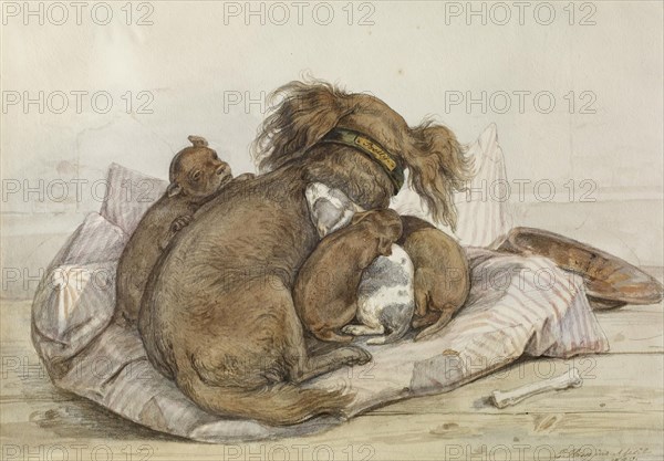 Spaniel With Puppies, 1840. Creator: Ernst Hasse.