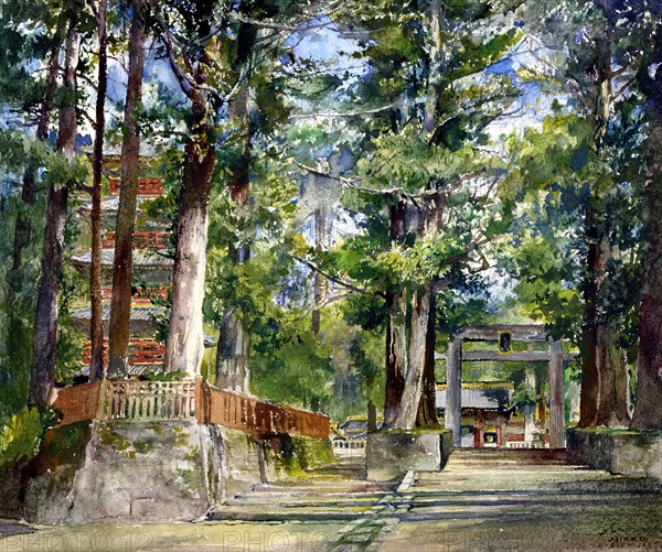 Avenue to the Temple of Iyeyasa, Nikko. Mid-day Sun., 1886. Creator: John La Farge.