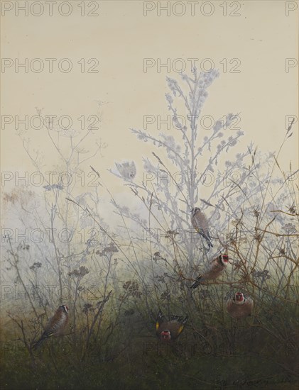 Goldfinches, 1864. Creator: Leon Bonvin.