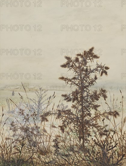 Thistle in front of a Winter Landscape, 1864. Creator: Leon Bonvin.