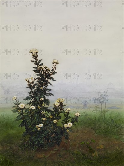 Feverfew in front of a Landscape, Issy-les-Moulineaux (?), 1863. Creator: Leon Bonvin.