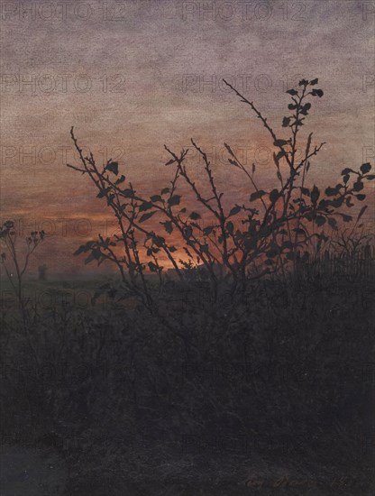 Blackthorn (?) in front of a Landscape at Sunset, 1864. Creator: Leon Bonvin.