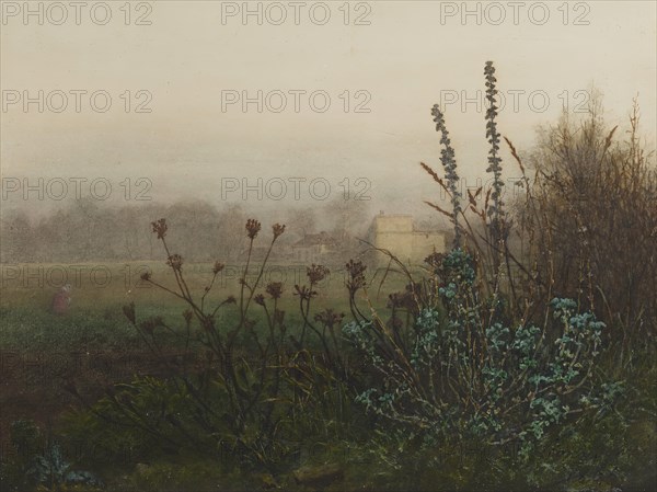 Rural Landscape, 1865. Creator: Leon Bonvin.