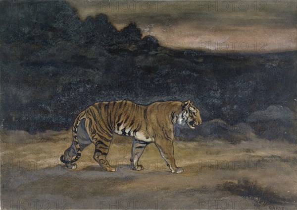 Tiger Walking, c1850s-1860s. Creator: Antoine-Louis Barye.