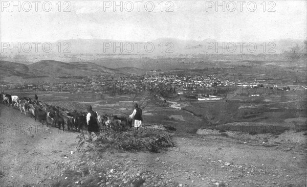 'Sur la route de Monastir ; Monastir, vue des hauteurs du Sud-Ouest ; a l'horizon, les montagnes de Creator: Unknown.