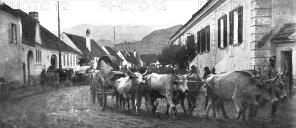 'La Roumanie Envahie; pendant la retraite: un canon francais de 120 long, attele de trois pairs de b Creator: Unknown.