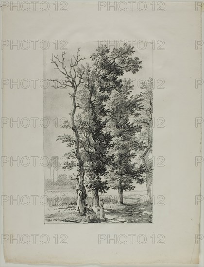 Study of Trees, c. 1817. Creator: Louis Pierre Baltard.