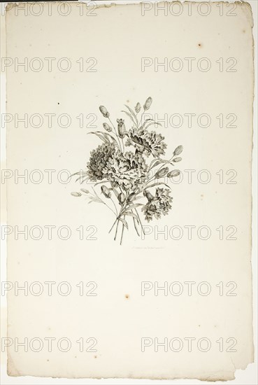 Bouquet with Carnations, from Collection of Different Bouquets of Flower..., published July 4, 1760. Creator: Pierre-Charles Canot.