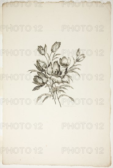 Bouquet with Tulips, from Collection of Different Bouquets of Flowers, I..., published July 4, 1760. Creator: Pierre-Charles Canot.