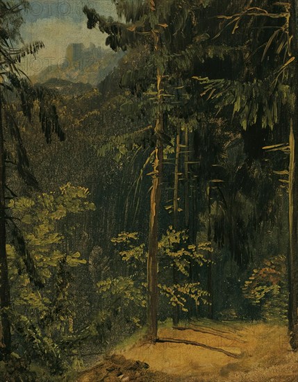 Forest path in the Harz, 1833. Creator: Karl Blechen.
