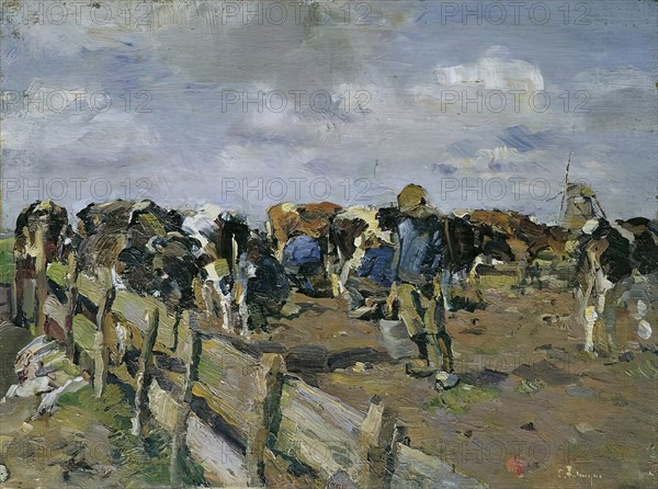 Milking of the cows, undated. (c1920s) Creator: Carl Fahringer.