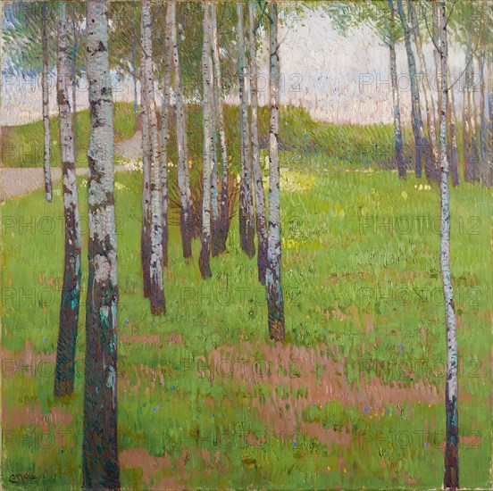 Birch grove in the evening light, 1902. Creator: Carl Moll.