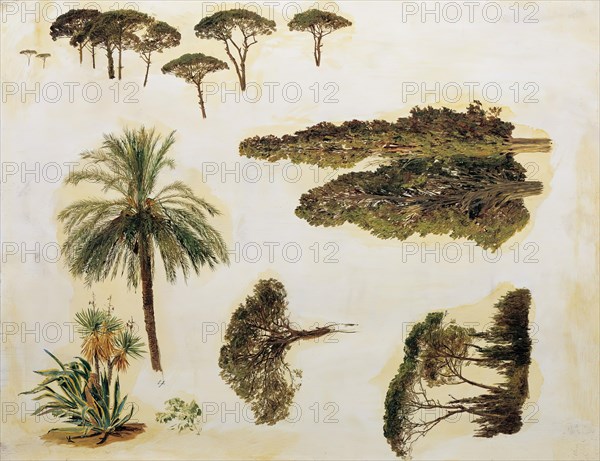 Tree Studies from Rome, 1846. Creator: Ferdinand Georg Waldmuller.