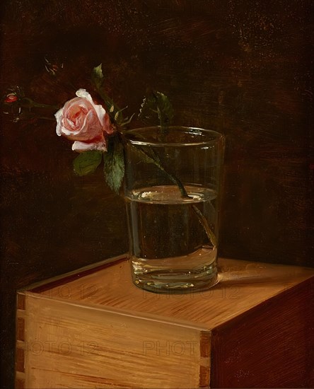 Rose in a glass, 1849. Creator: Franz Kruger.