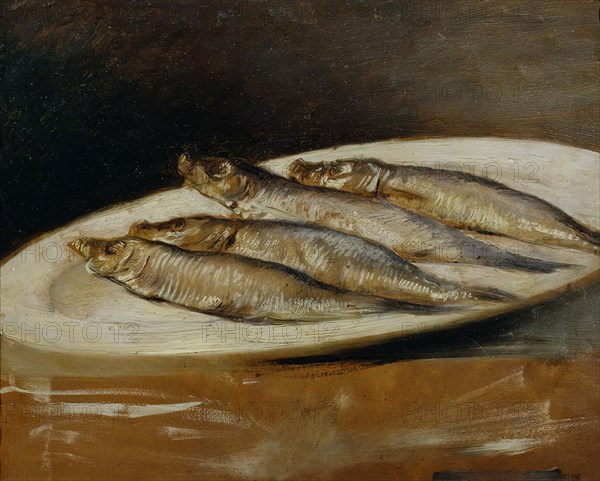 Anchovy, undated. (c1830s) Creator: Josef Navratil.